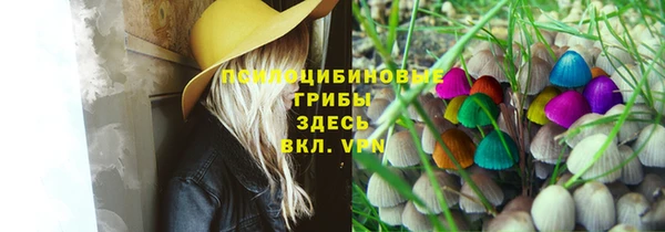 дживик Аркадак