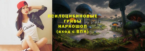 дживик Аркадак